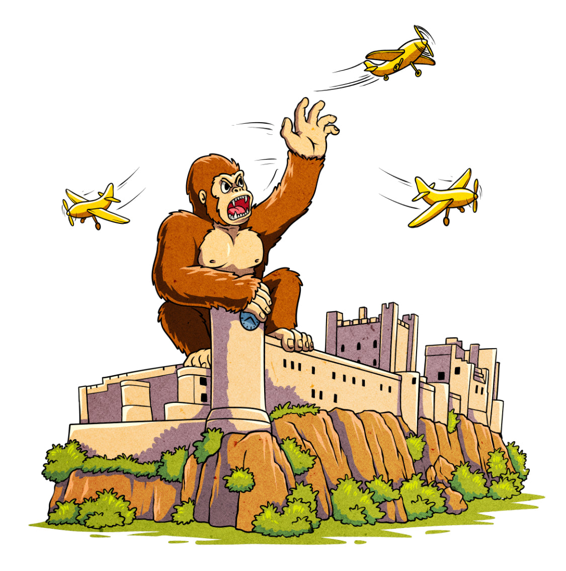 Castle Enclosure
